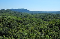 Overlooking the Rainforest from Kuranda Skyrail