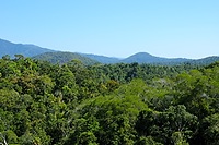 Overlooking the Rainforest from Kuranda Skyrail