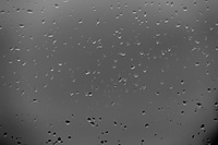 Raindrops on the window