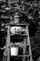 Pumpkin on Stairs