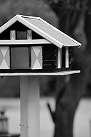 Bird house